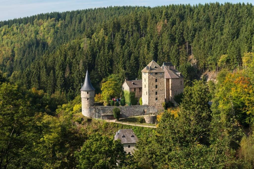 Le Grand Cerf 25 Pers, Malmedy- Chalet Rustique, Jardin Экстерьер фото